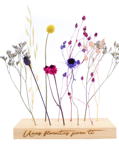 Campo de flores