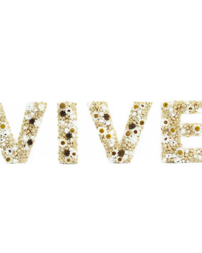 VIVE