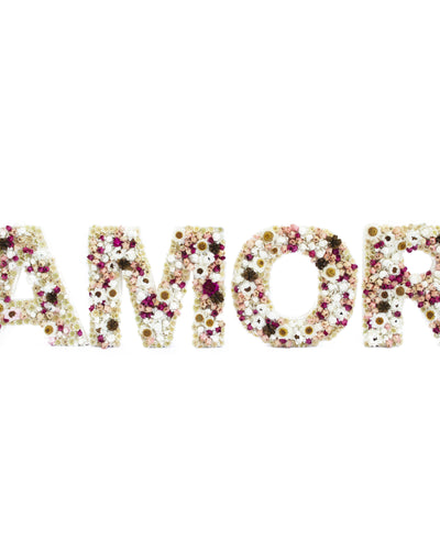AMOR